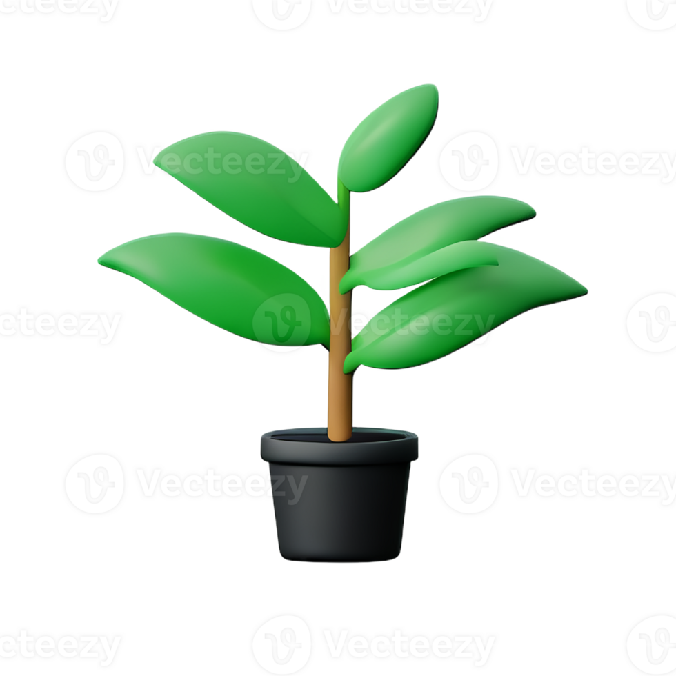 potted plants 3d rendering icon illustration png