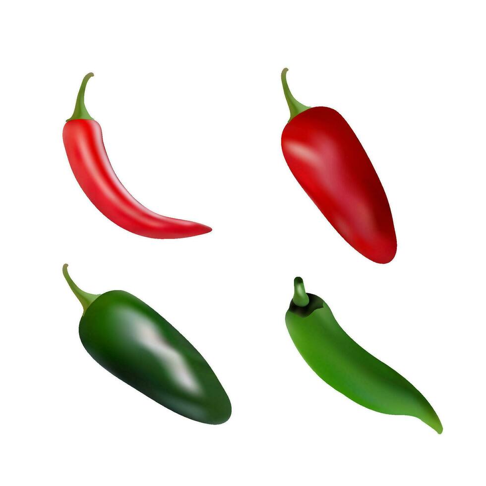 Red and green hot chili pepper  with shadow vector illustration