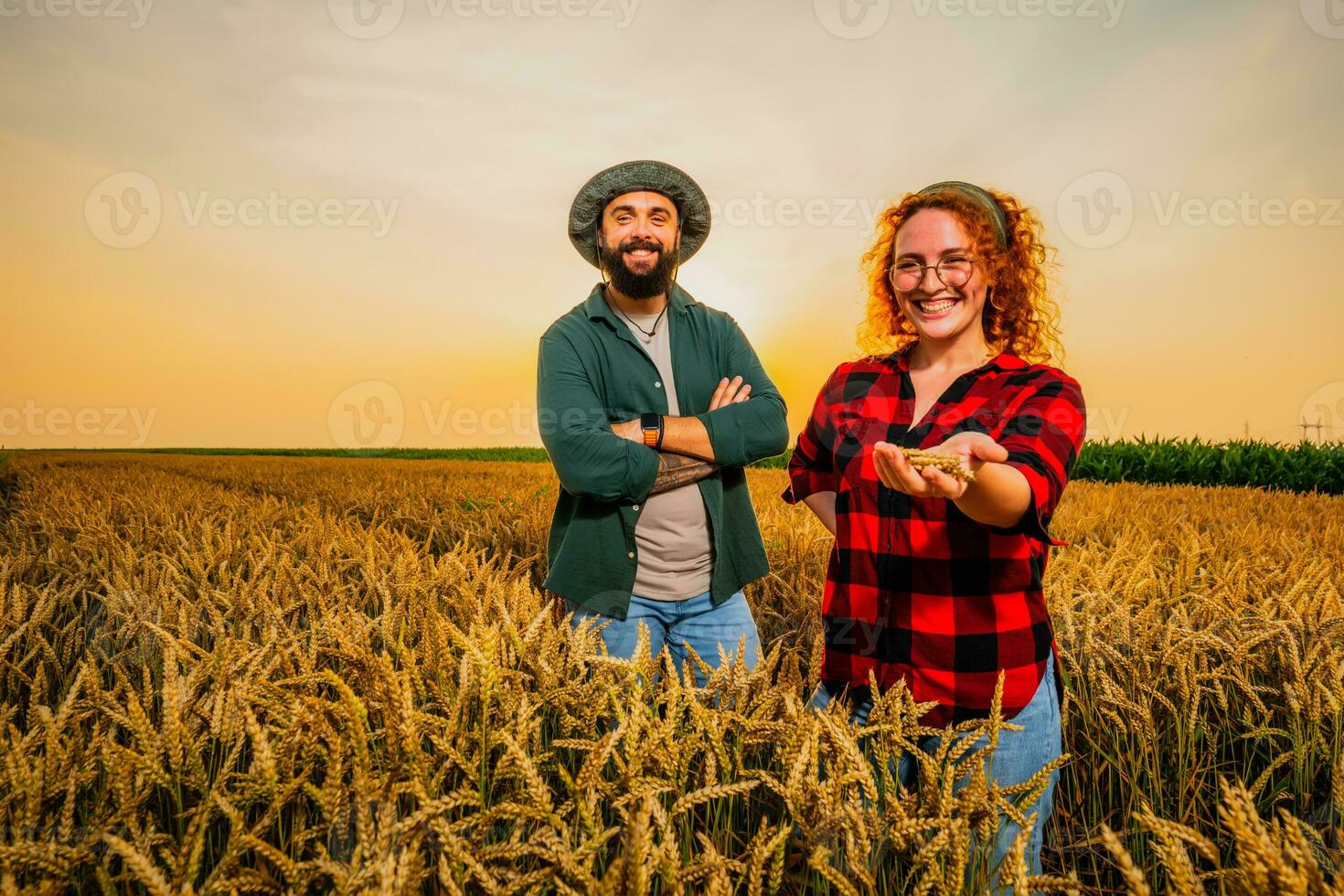 Family agricultural occupation. Man and woman are cultivating wheat. They are satisfied with good progress of plants. photo