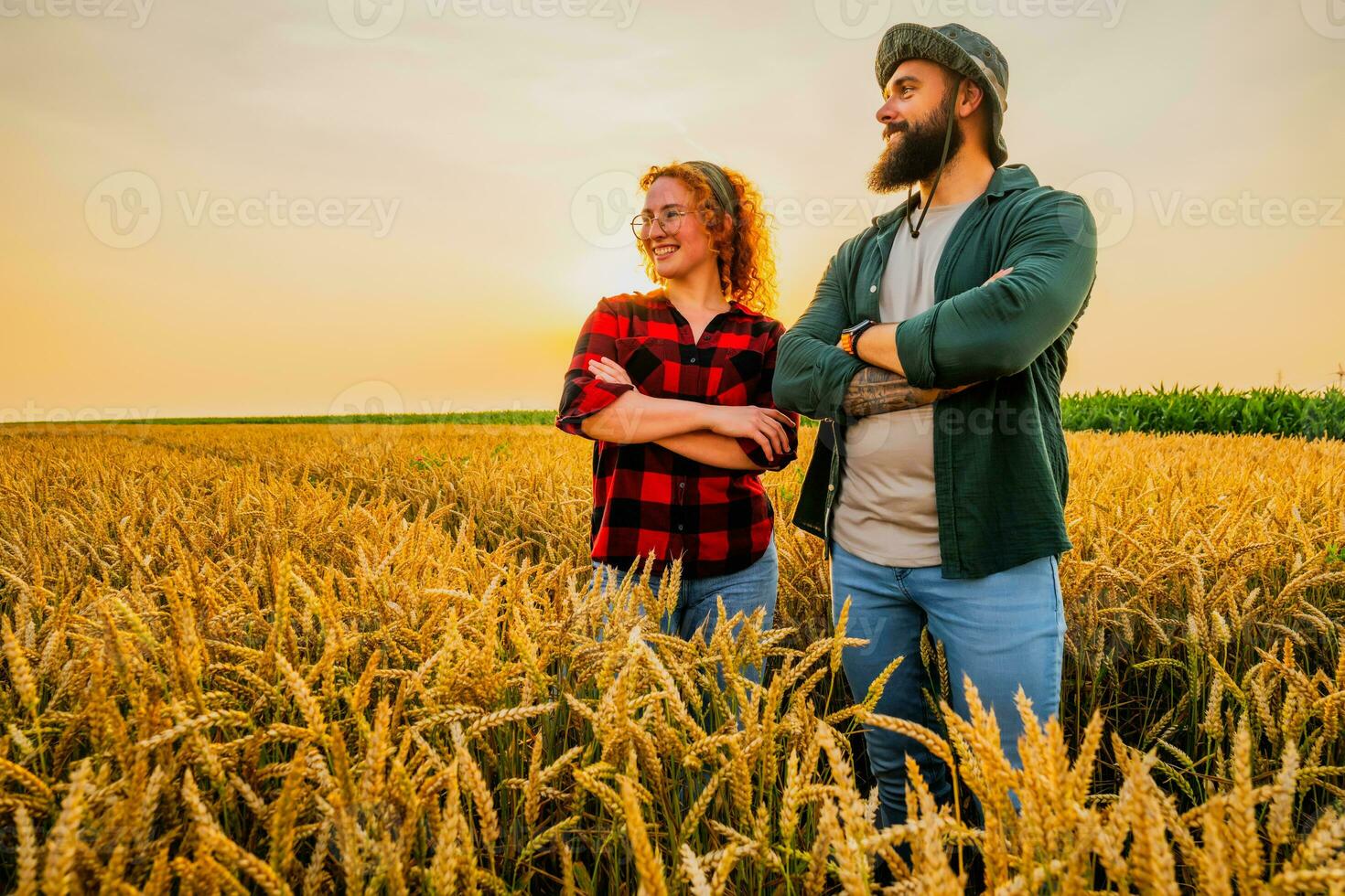 Family agricultural occupation. Man and woman are cultivating wheat. They are satisfied with good progress of plants. photo