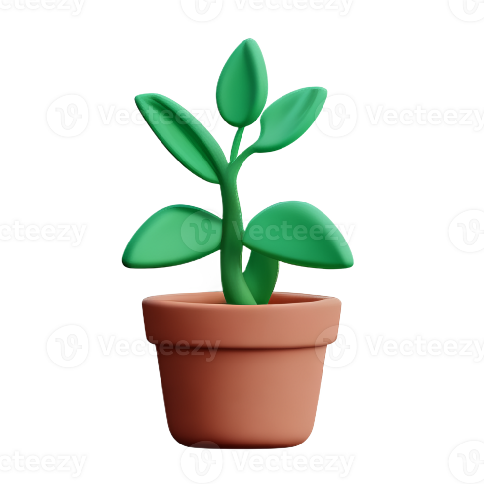 potted plants 3d rendering icon illustration png