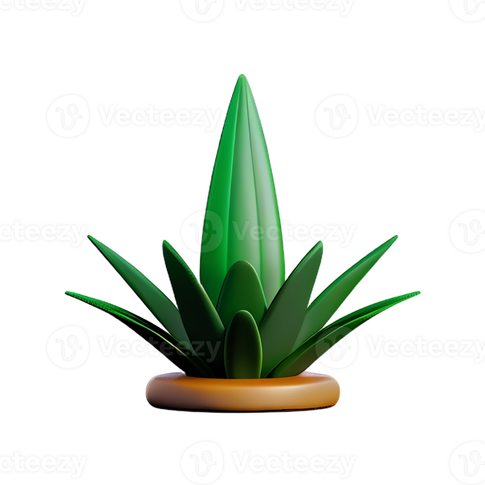 aloe vera 3d rendering icon illustration png