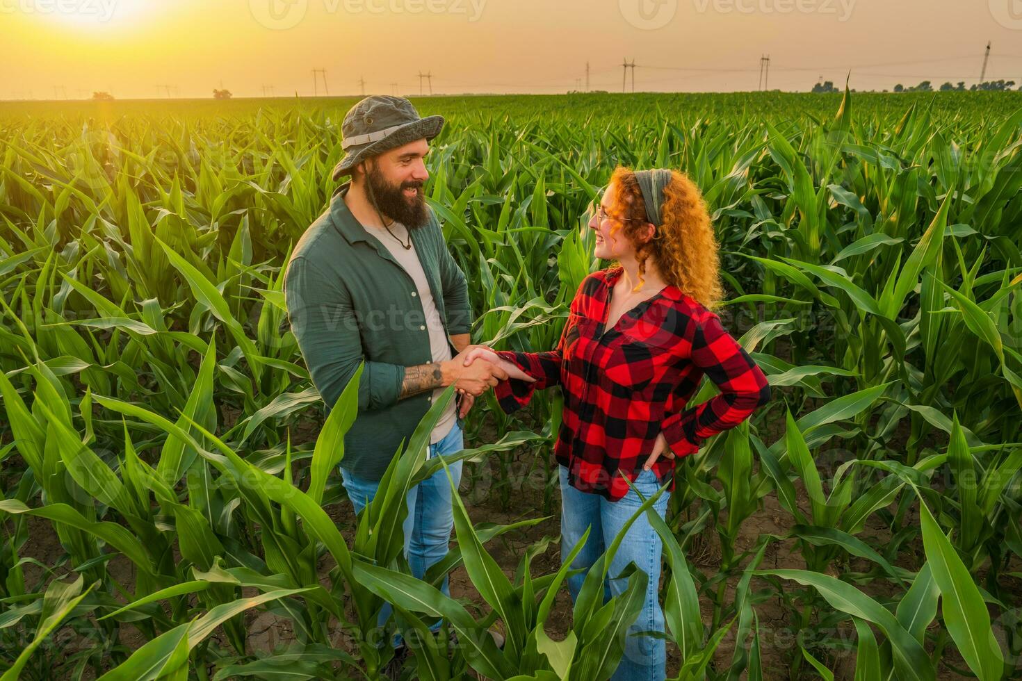 Family agricultural occupation. Man and woman are cultivating corn. They are satisfied with good progress of plants. photo