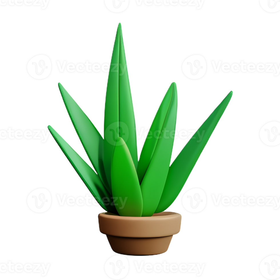 aloe vera 3d rendering icon illustration png