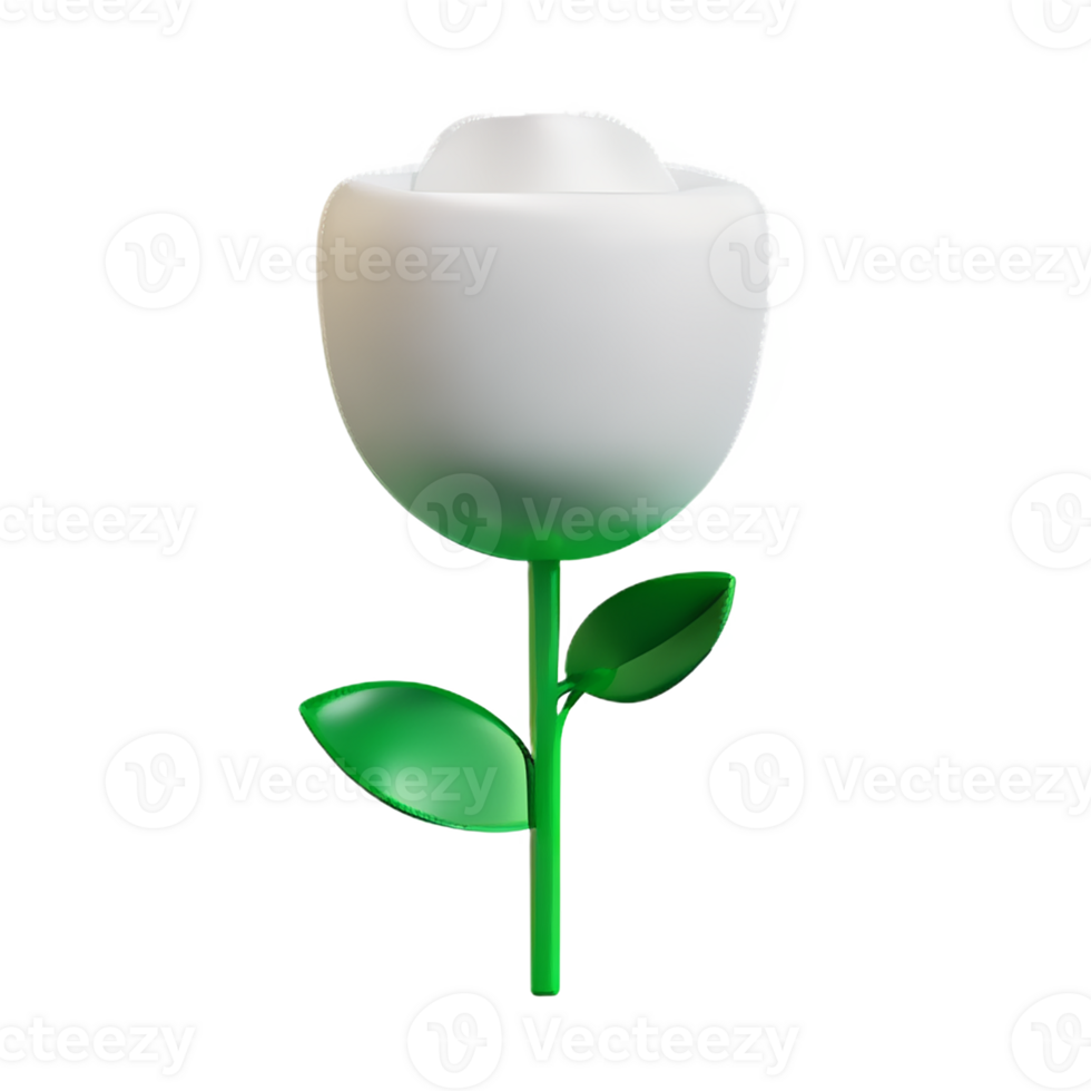 white rose 3d rendering icon illustration png