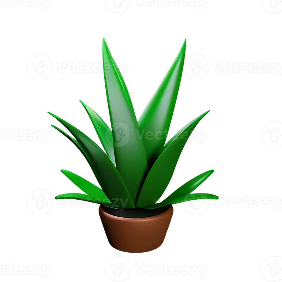 aloe vera 3d rendering icon illustration png