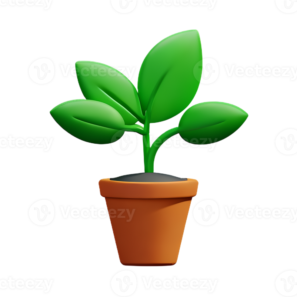 potted plants 3d rendering icon illustration png