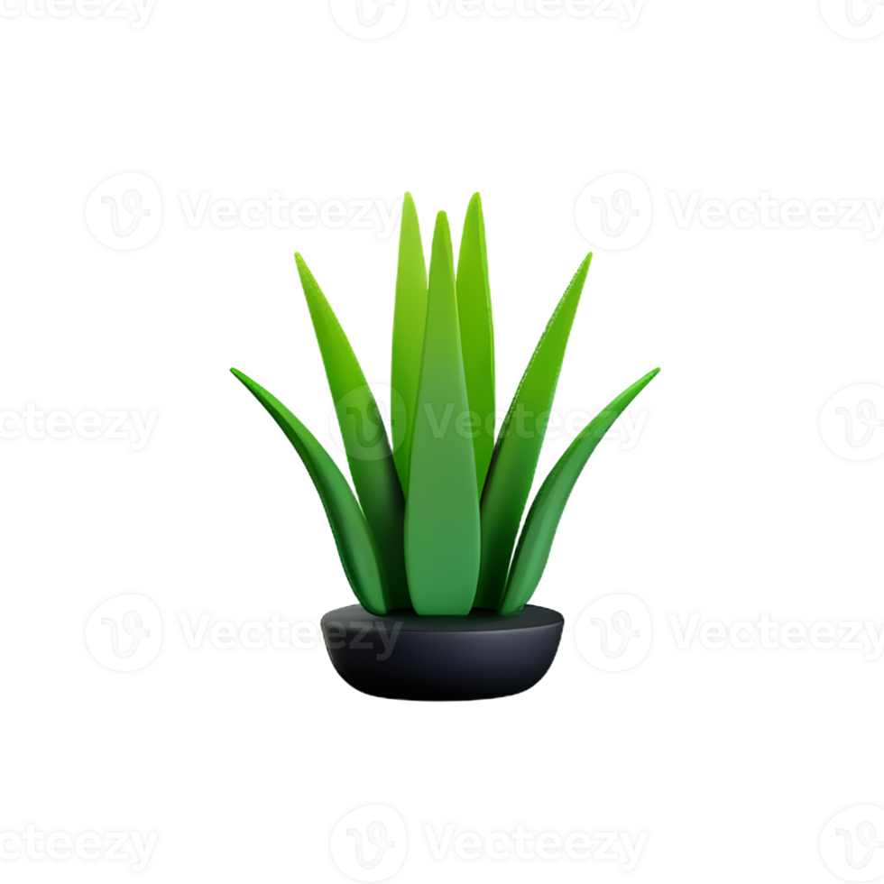 aloe vera 3d rendering icon illustration png
