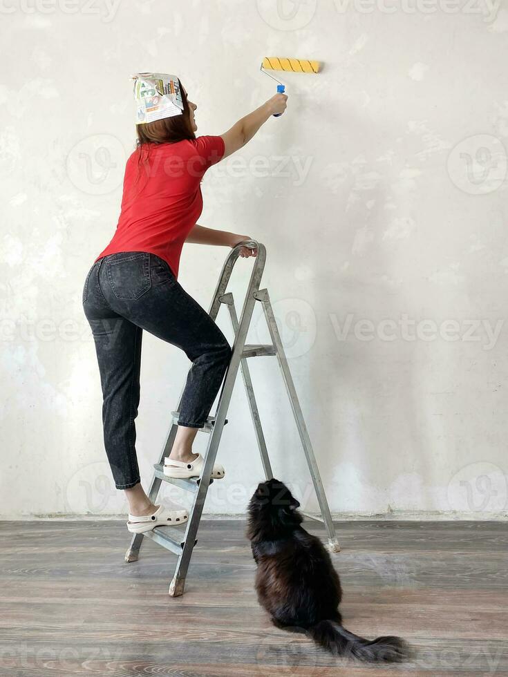 Woman doing wall painting, woman going to do home repairs with black cat photo