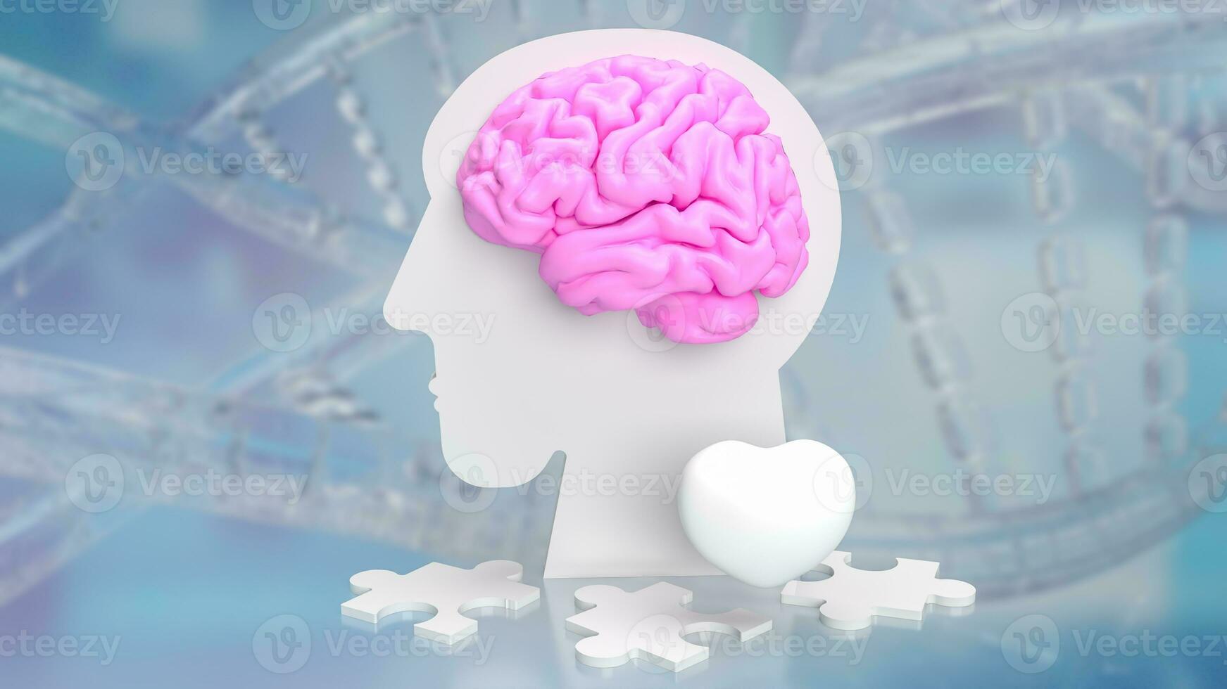 The bust head and brain for sci or medical concept 3d rendering photo