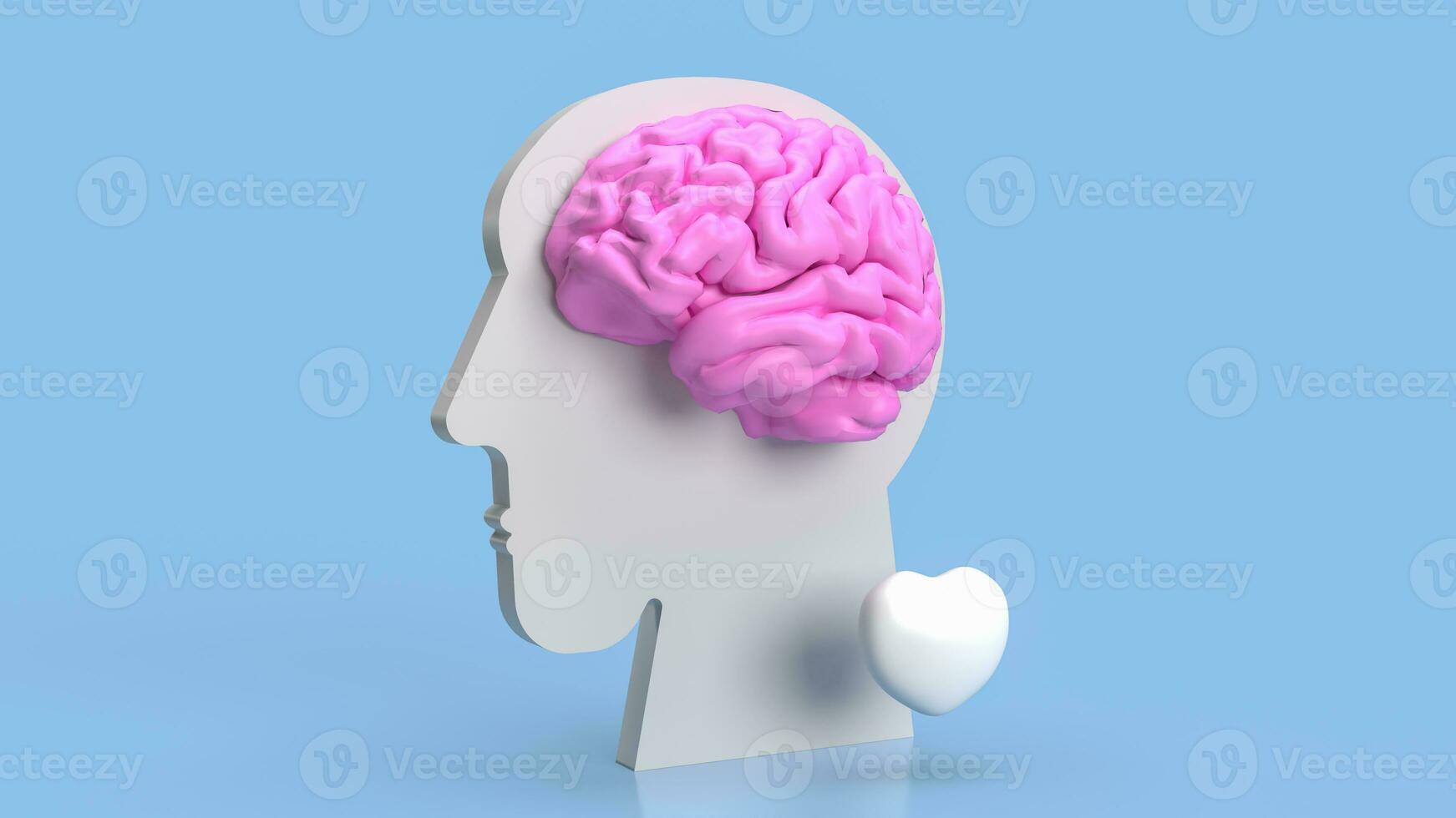The bust head and brain for sci or medical concept 3d rendering photo