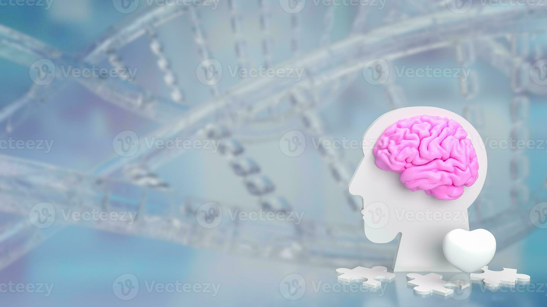 The bust head and brain for sci or medical concept 3d rendering photo