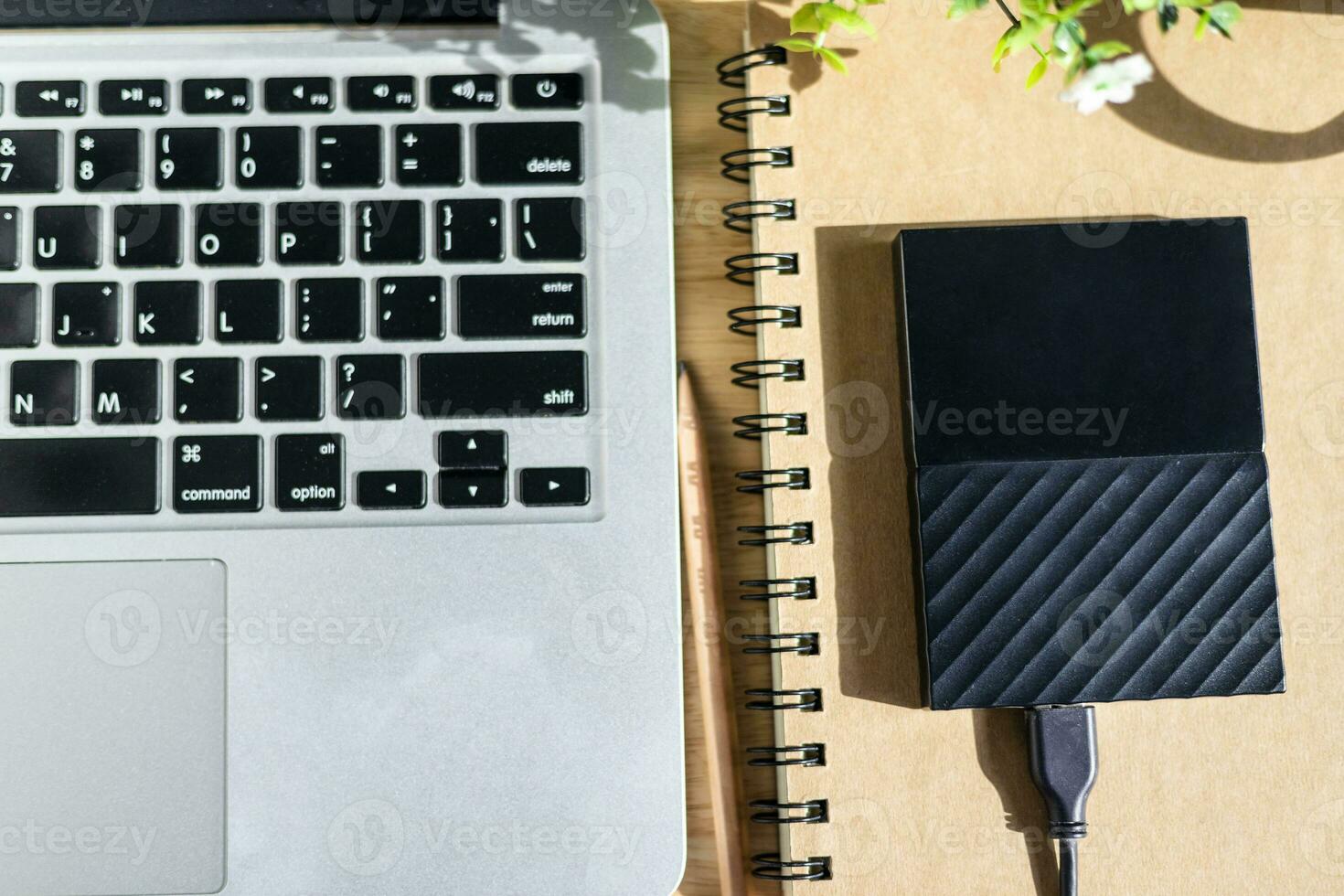 externo difícil disco en cuaderno con ordenador portátil teclado con un lápiz y flor maceta árbol en de madera fondo, arriba ver oficina mesa. foto