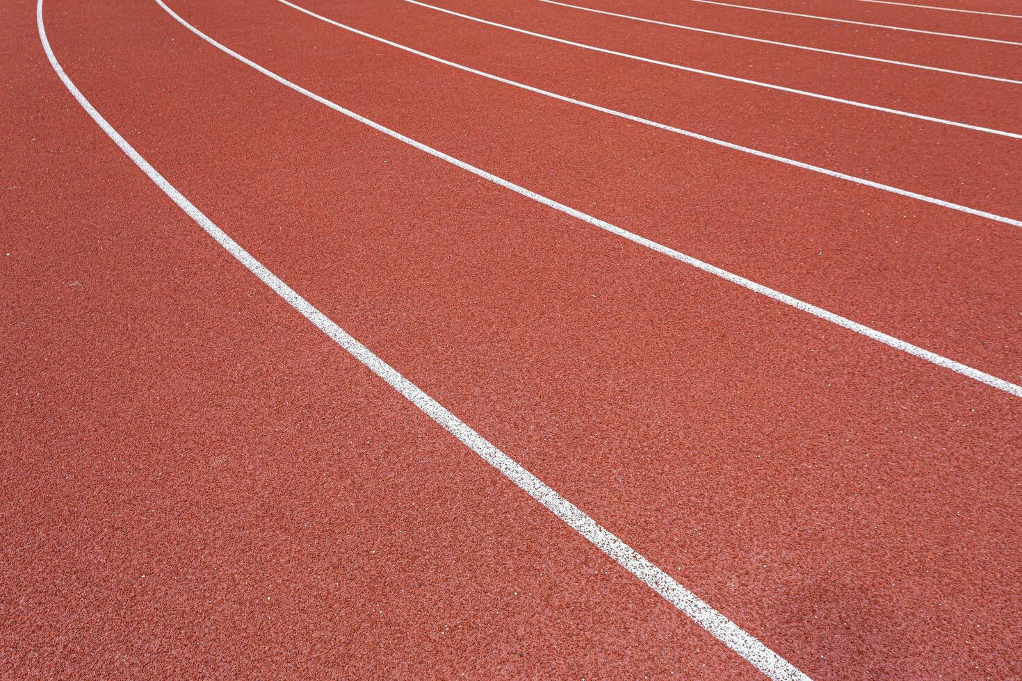 White lines of stadium and texture of running racetrack red rubber racetracks in outdoor stadium are 8 track and green grass field,empty athletics stadium with track. photo