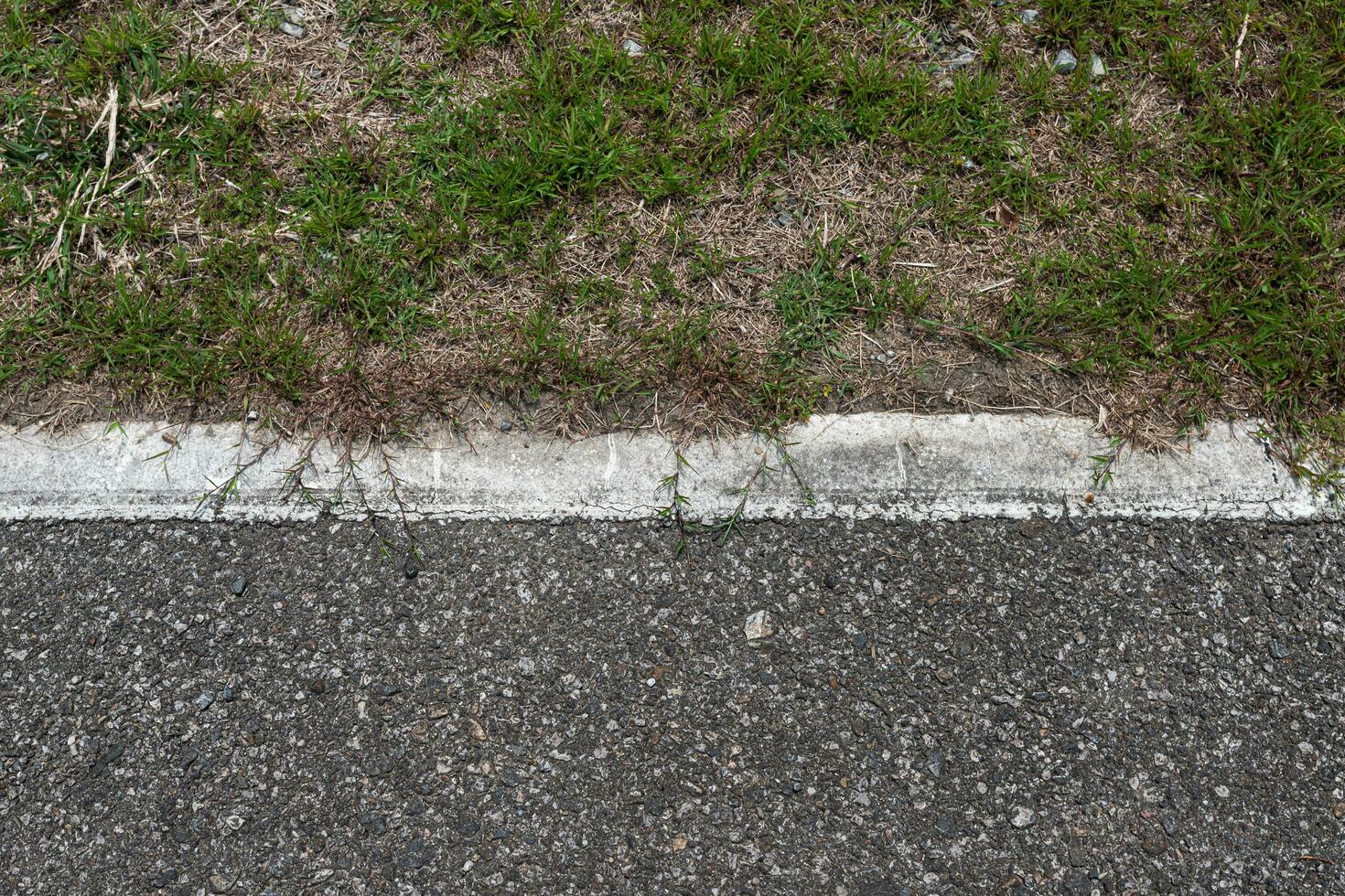 Carretera asfaltada con rayas y fondo de textura de hierba verde, espacio de copia vacío. foto