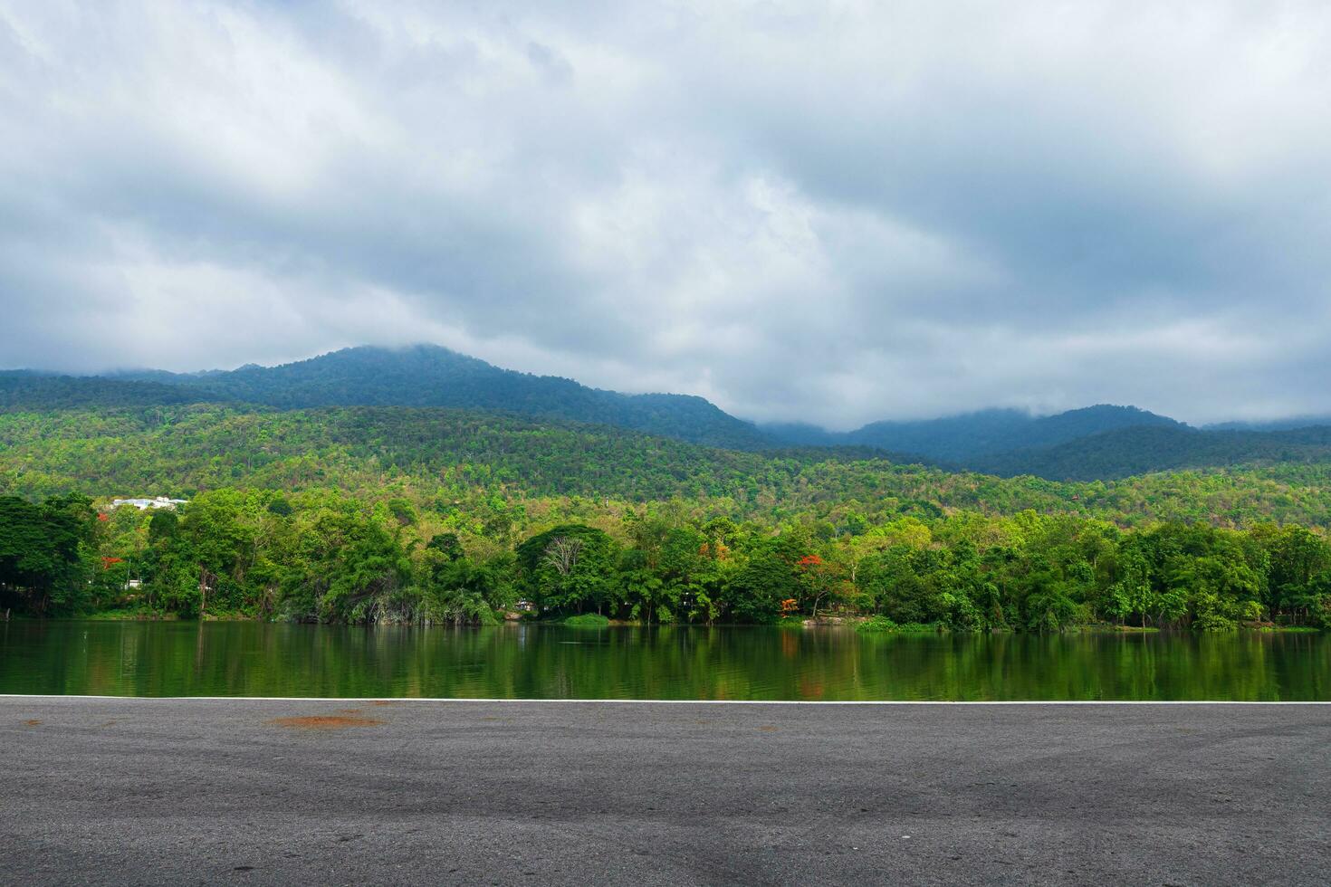 Along road landscape view in Ang Kaew Chiang Mai University Forested Mountain blue sky background with white clouds, Nature Road in mountain forest. photo