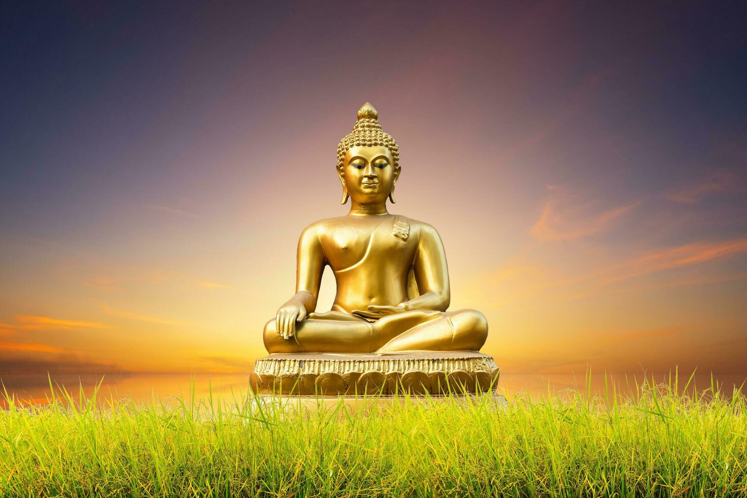 Beautiful green cornfield of Golden Buddha statue on blue dramatic sunset sky texture background. photo