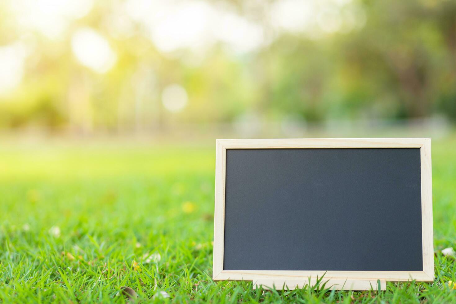 empty wooden blackboard in square shape on green grass in the park background. photo