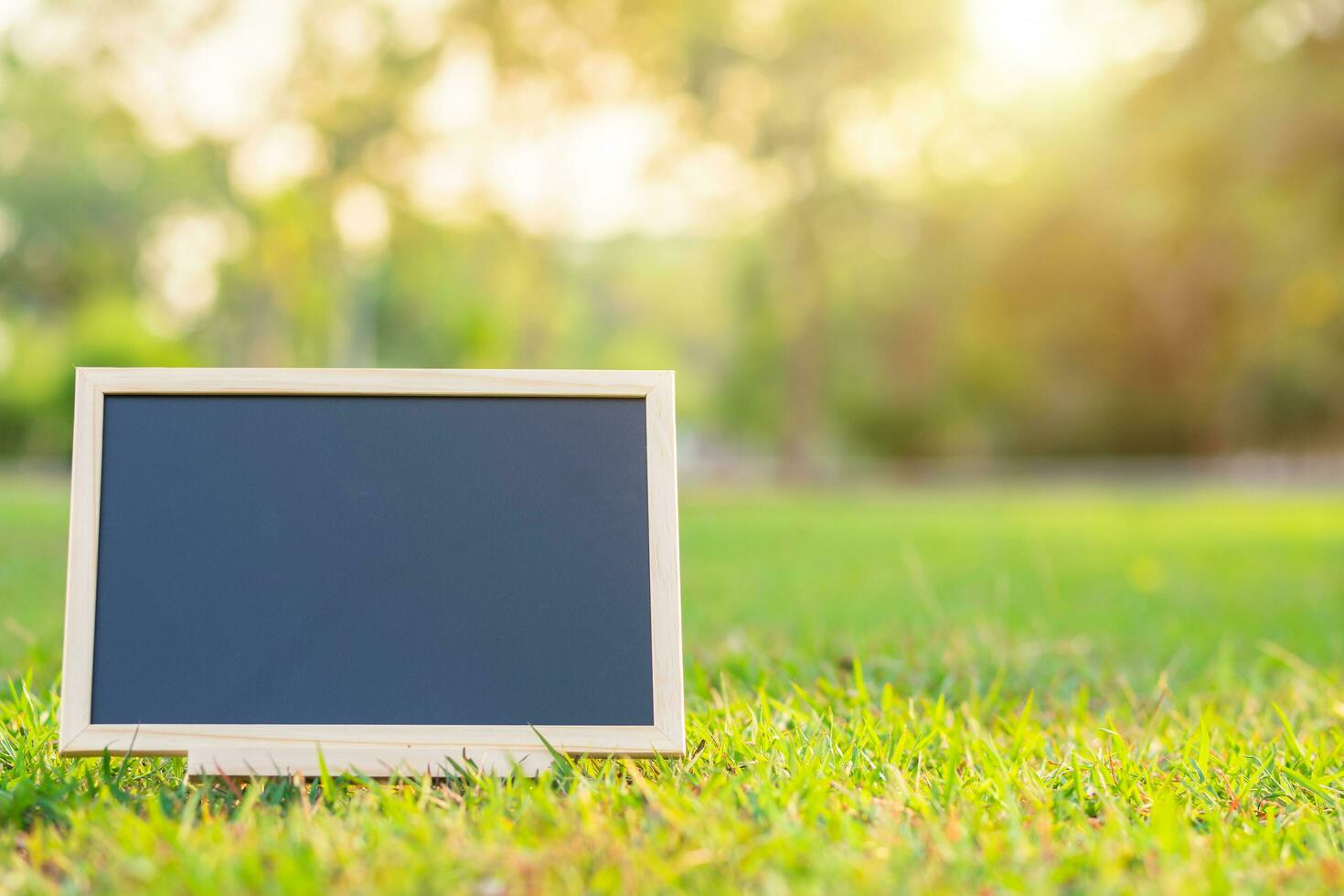 empty wooden blackboard in square shape on green grass in the park background. photo