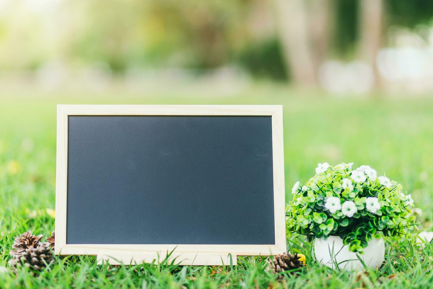 empty wooden blackboard and Flowerpot in square shape on green grass in the park background. photo