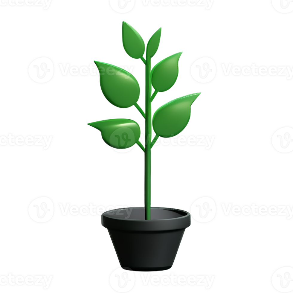 fern 3d rendering icon illustration png