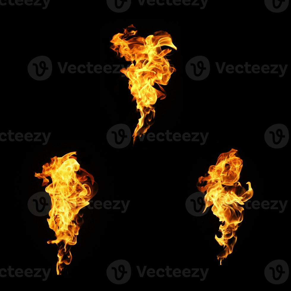 Fire flames collection isolated on black background photo