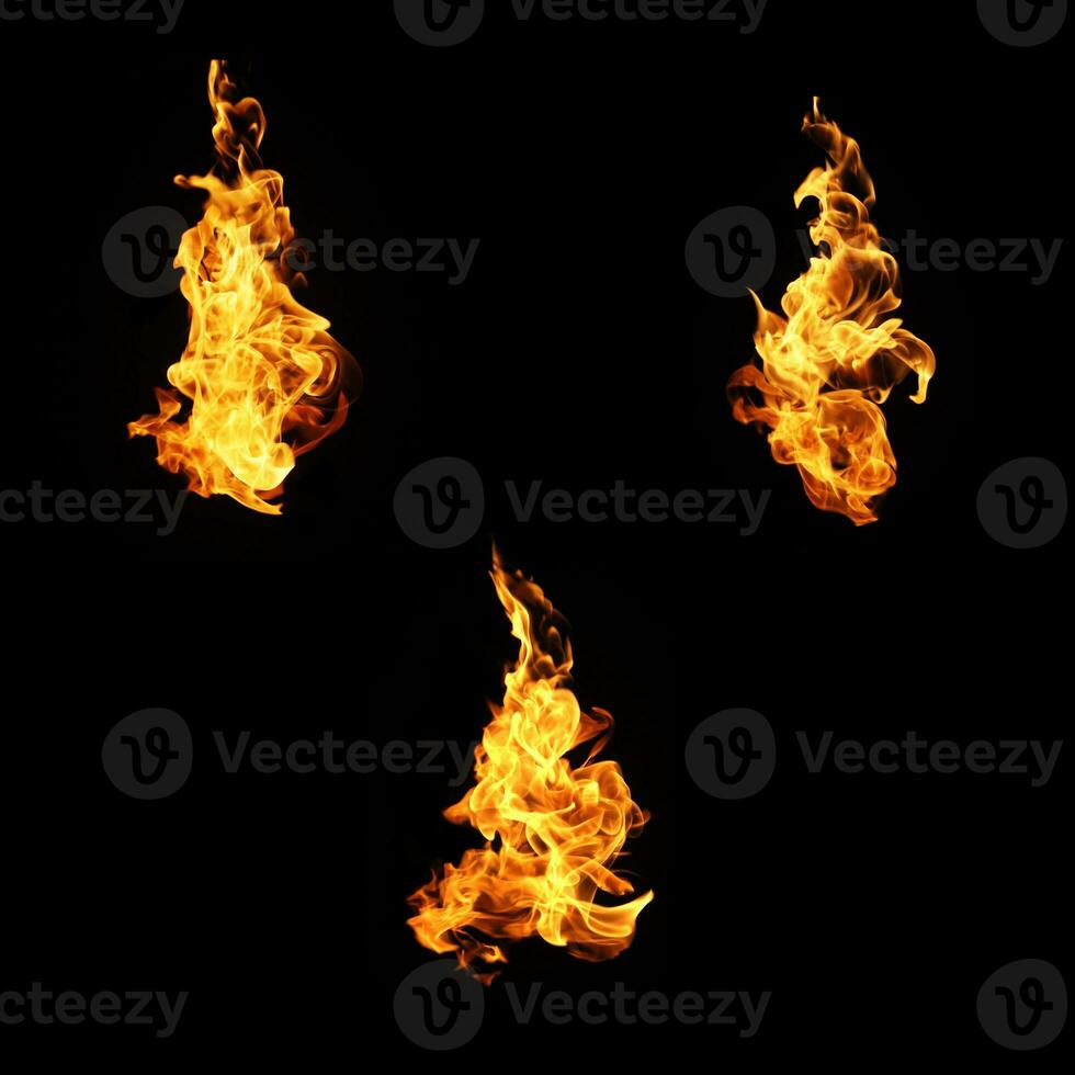 Colección de llamas de fuego aislado sobre fondo negro foto