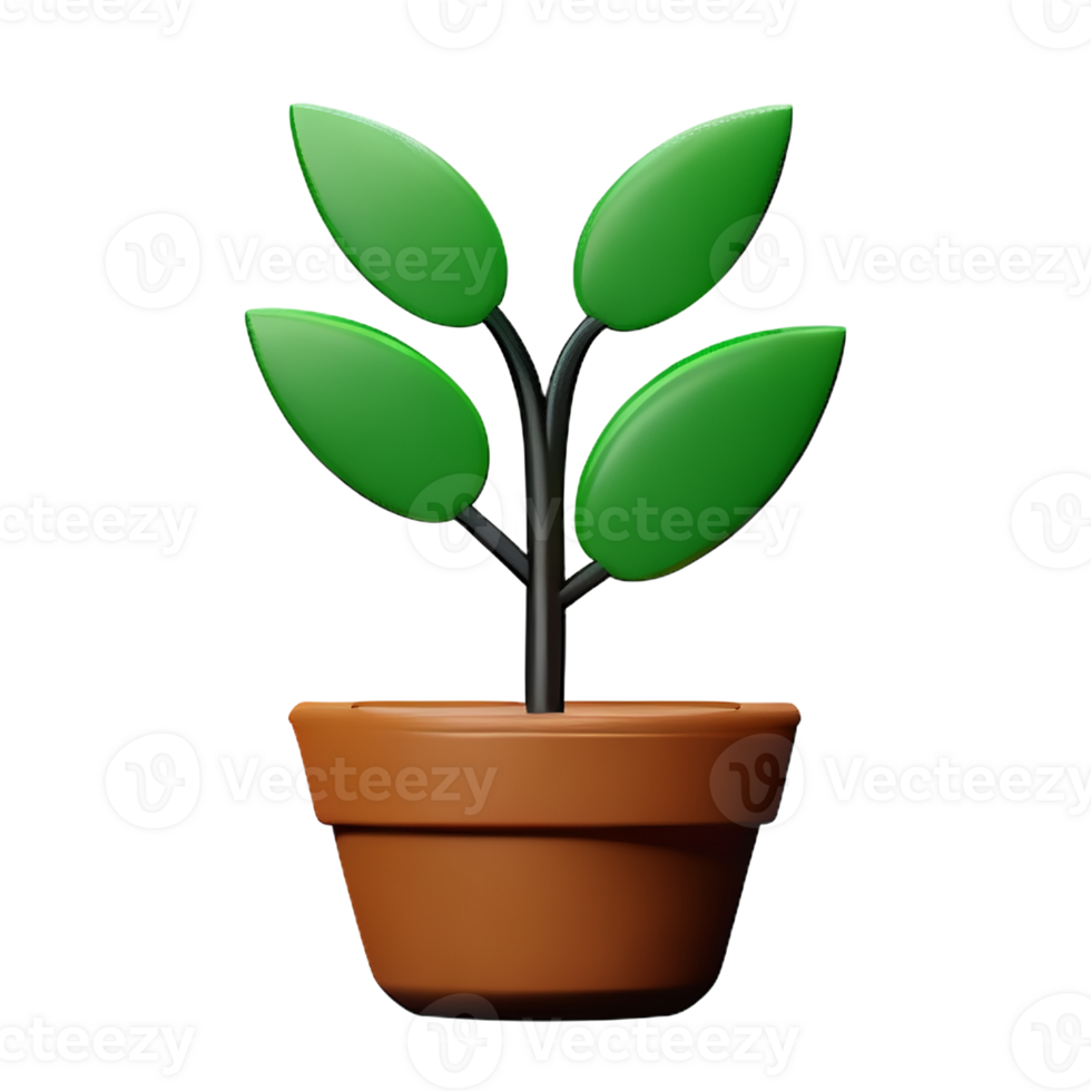 potted plants 3d rendering icon illustration png