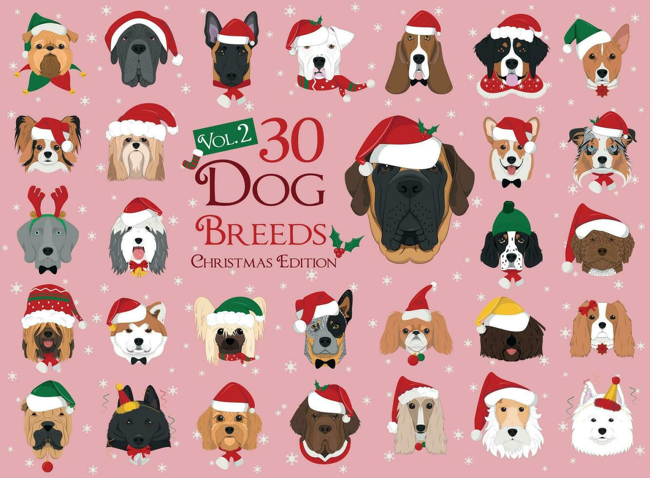 Set of 30 dog breeds with Christmas and winter themes. Set 2 vector