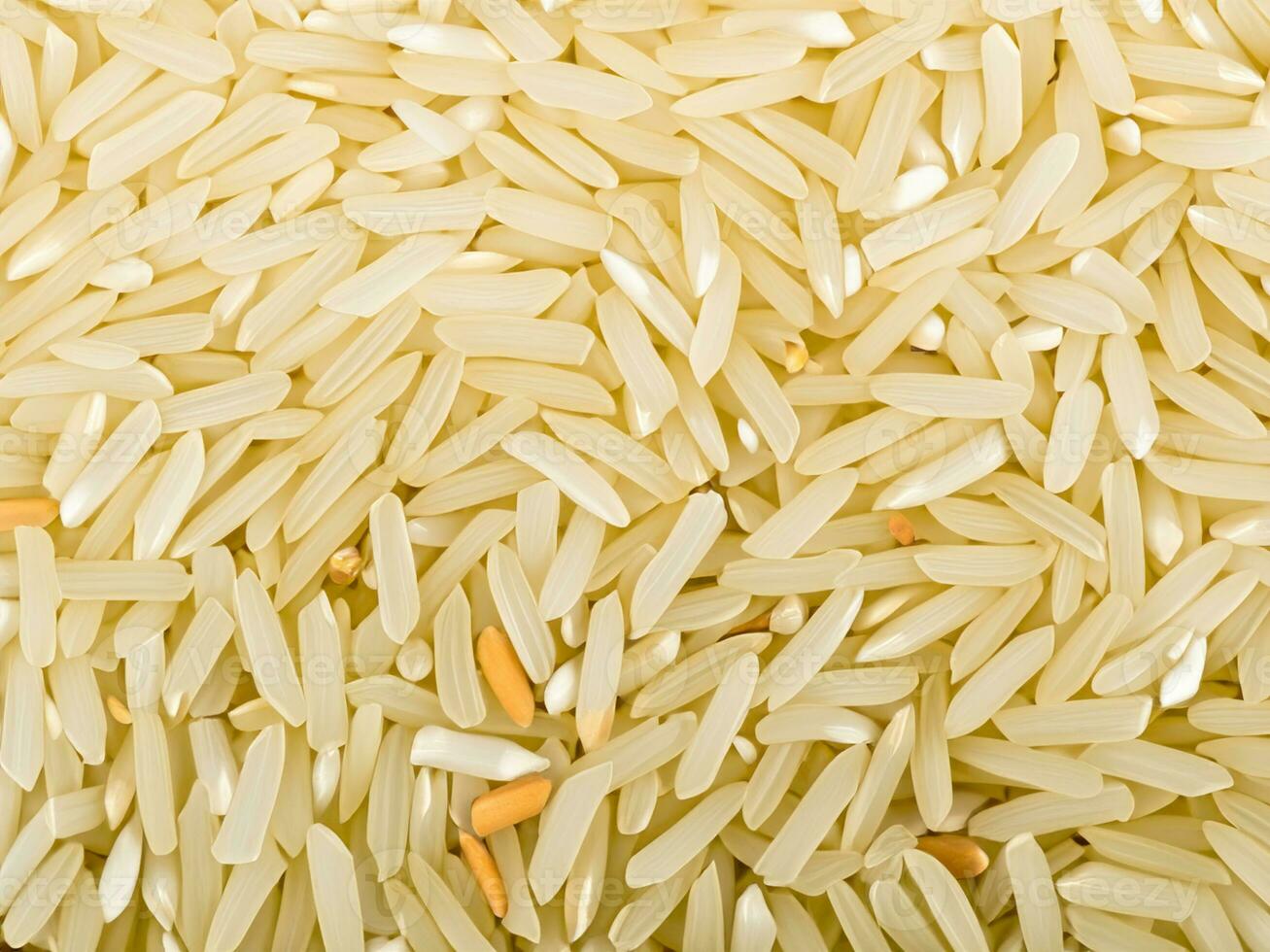 close up raw rice background. macro photo