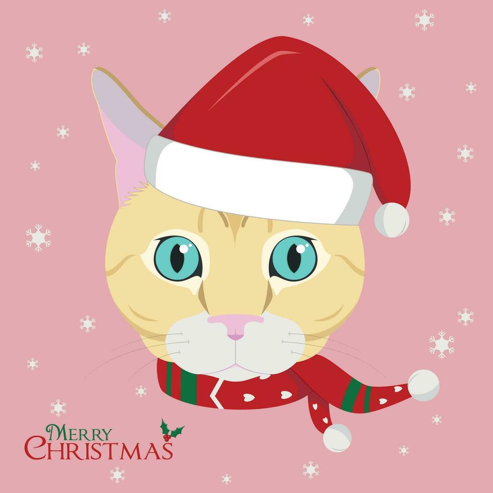 Navidad saludo tarjeta. europeo cabello corto gato vistiendo un bufanda y un rojo de santa sombrero vector