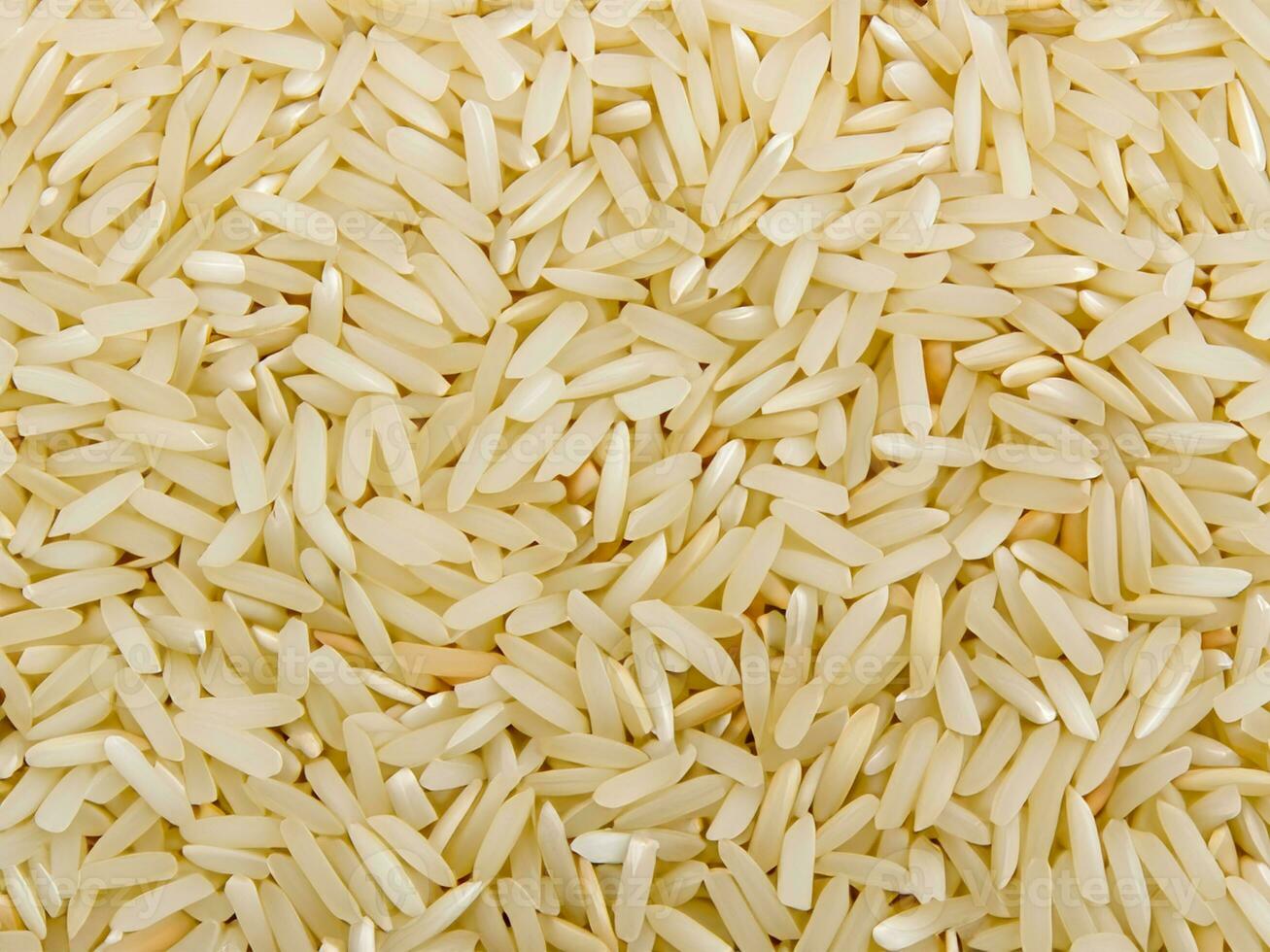 close up raw rice background. macro photo