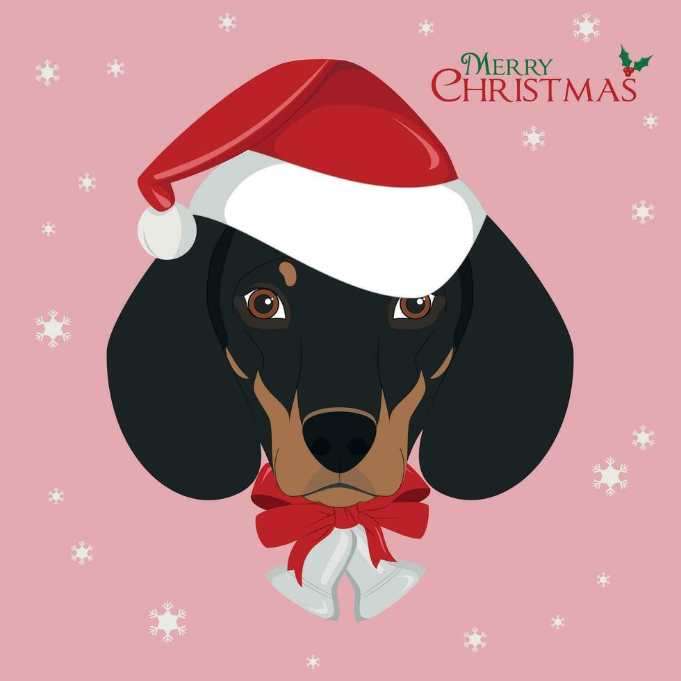 Christmas greeting card. Dachshund dog with red Santa's hat and Christmas bells vector