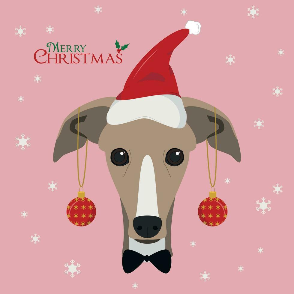 Christmas greeting card. Greyhound dog with red Santa's hat and Christmas toy balls vector