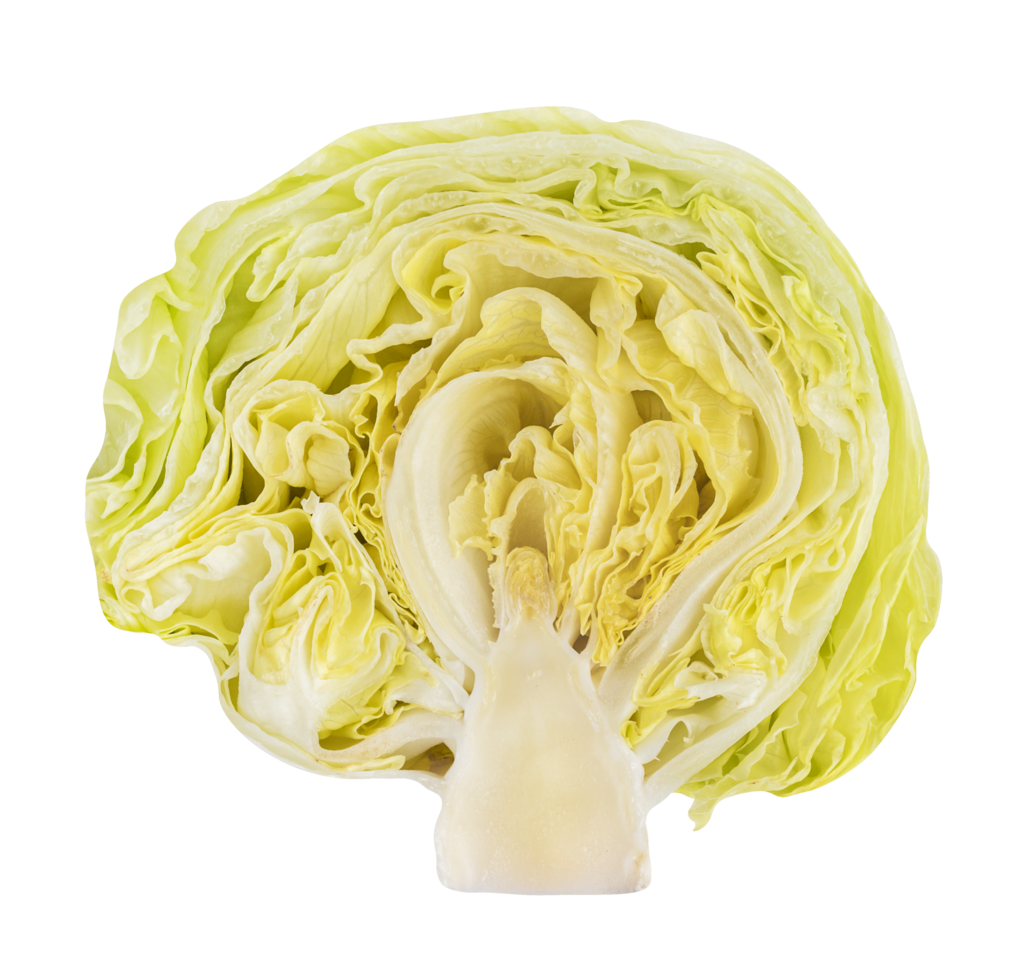 Half Crisphead lettuce vegetable png