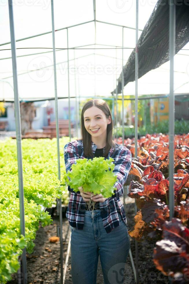 Caucasian female farmer wearing  is caring for organic vegetables inside the nursery.Young entrepreneurs with an interest in agriculture at farm photo