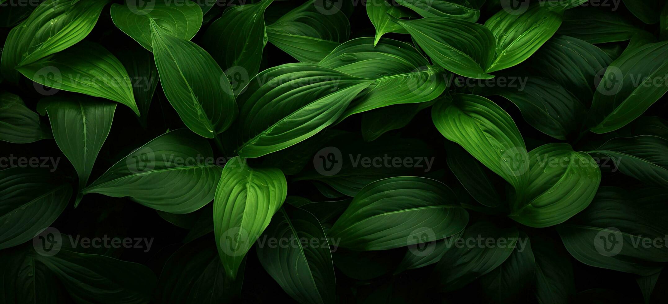 Closeup green leaves background, Overlay fresh leaf pattern, Natural foliage textured and background. Created with Generative AI technology. photo