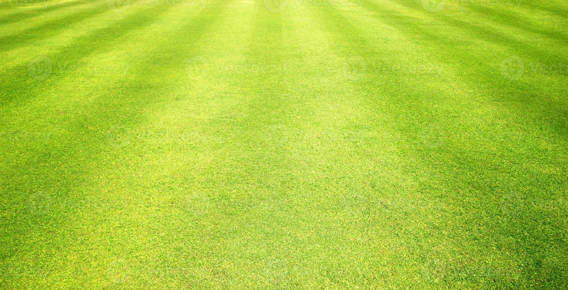 Green Grass Lawn Golf Course background photo