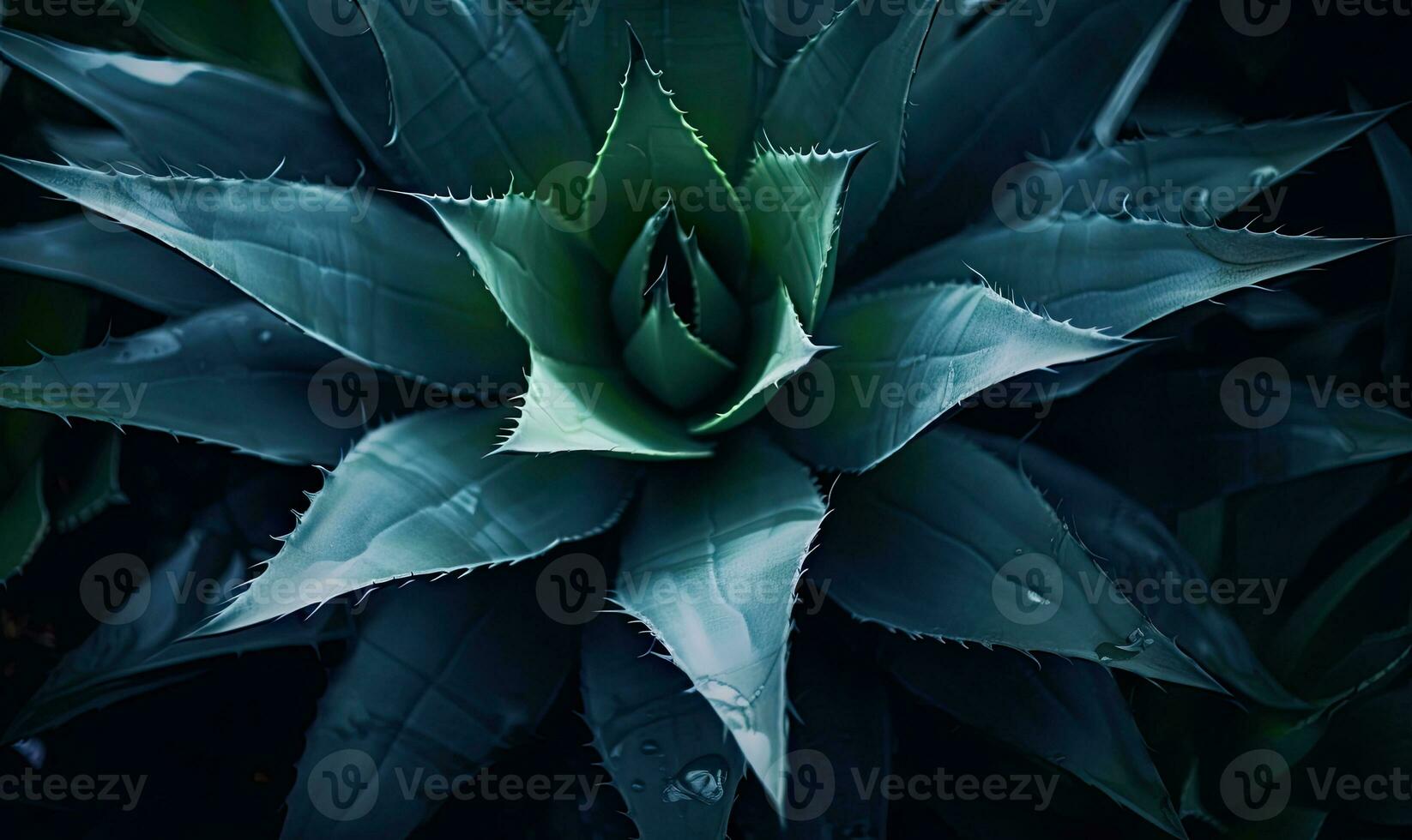 Tropical succulents wallpaper. Textured blue agave banner. For postcard, book illustration. Created with generative AI tools photo