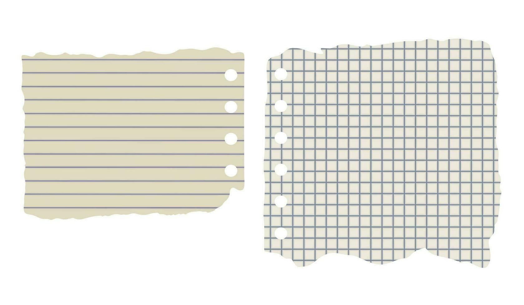 Lined and squared blank vector sheets of paper on white background. Ripped aged paper