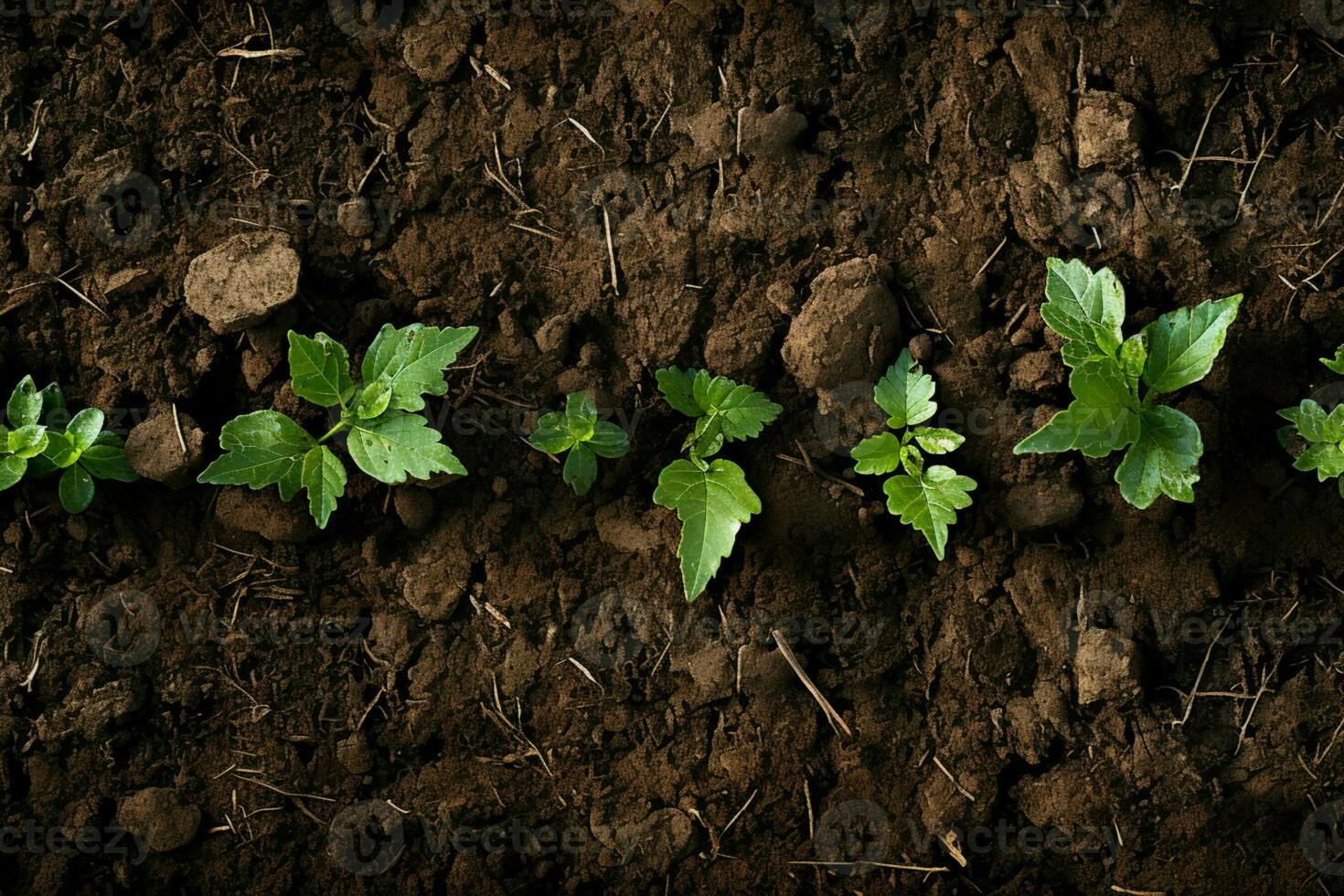 Growths foundation, Top view fertile soil texture, offering copious copy space for gardening AI Generated photo