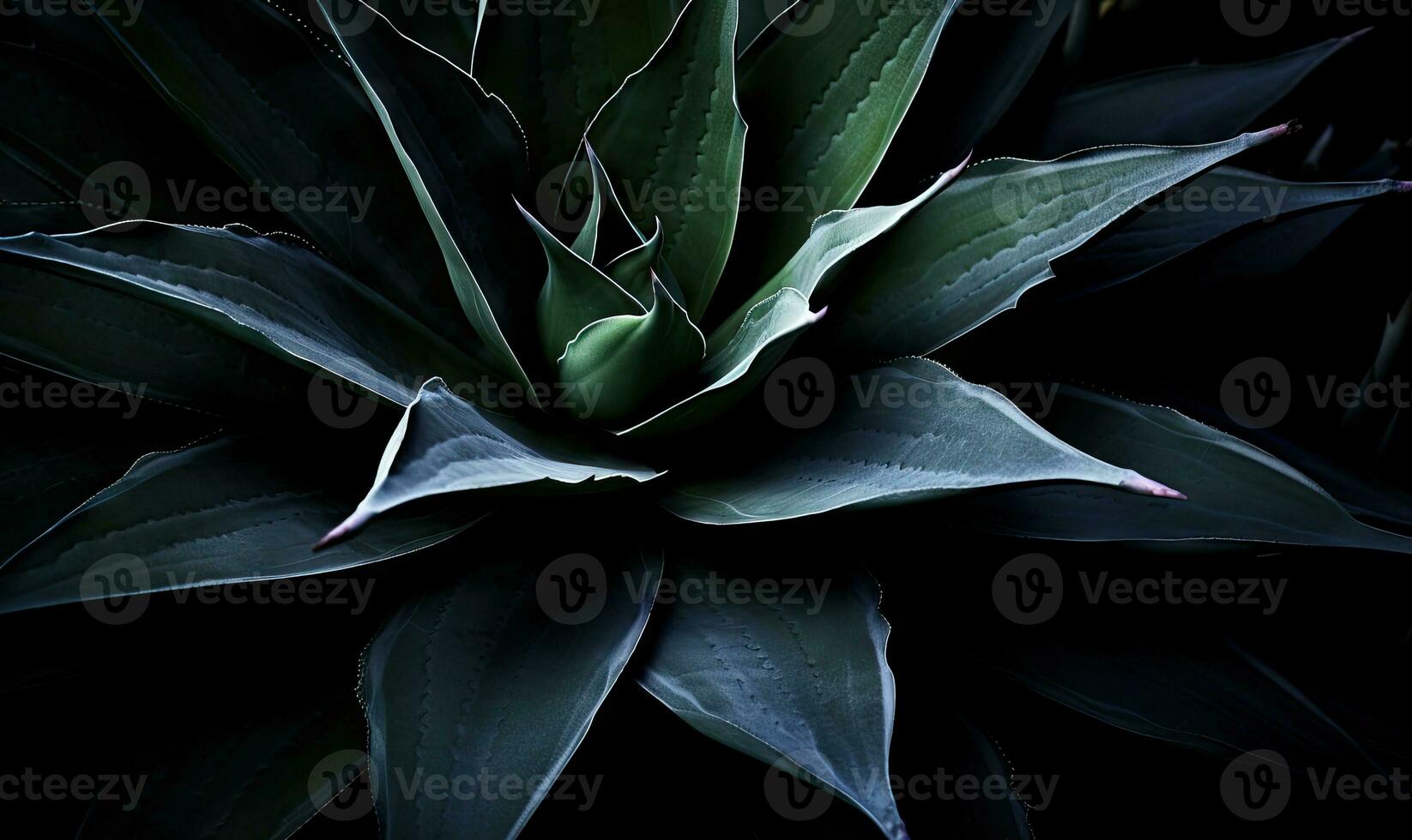 Tropical succulents wallpaper. Textured blue agave banner. For postcard, book illustration. Created with generative AI tools photo