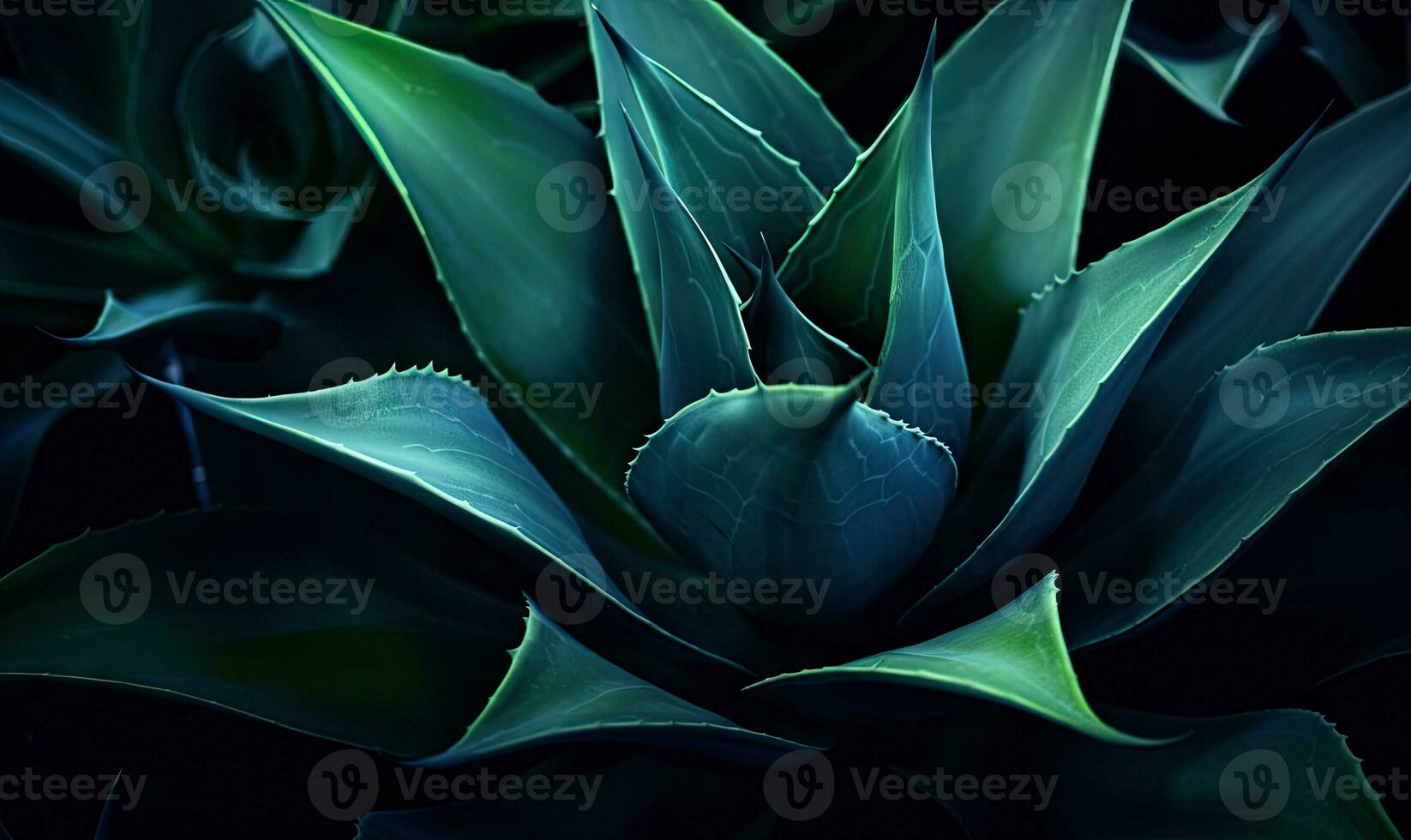 Tropical succulents wallpaper. Textured blue agave banner. For postcard, book illustration. Created with generative AI tools photo