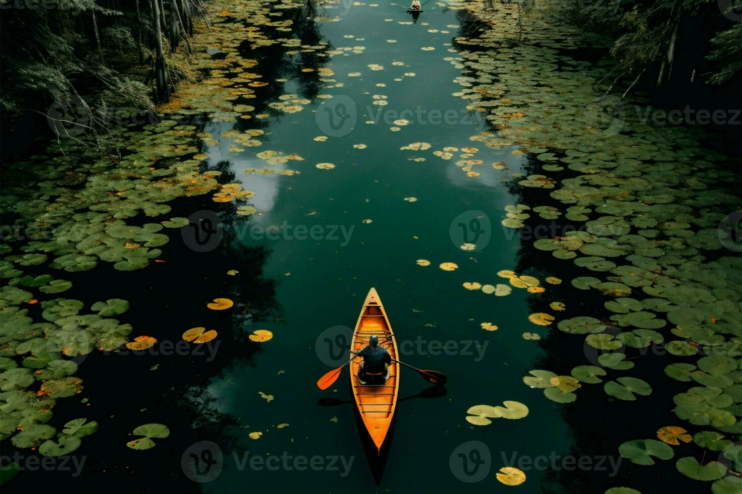 Man glides on kayak through Rayongs botanical lotus lake from above AI Generated photo