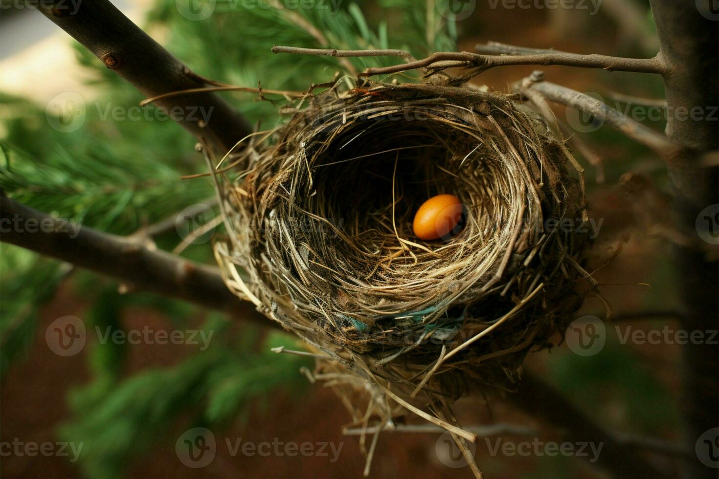 A birds nest nestled securely within the branches of a tree AI Generated photo