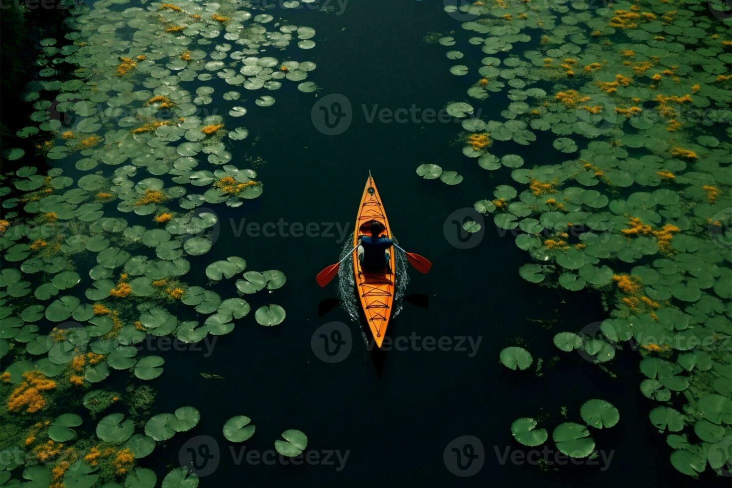 Aerial view Kayaker paddles through lotus covered lake in Rayong garden AI Generated photo
