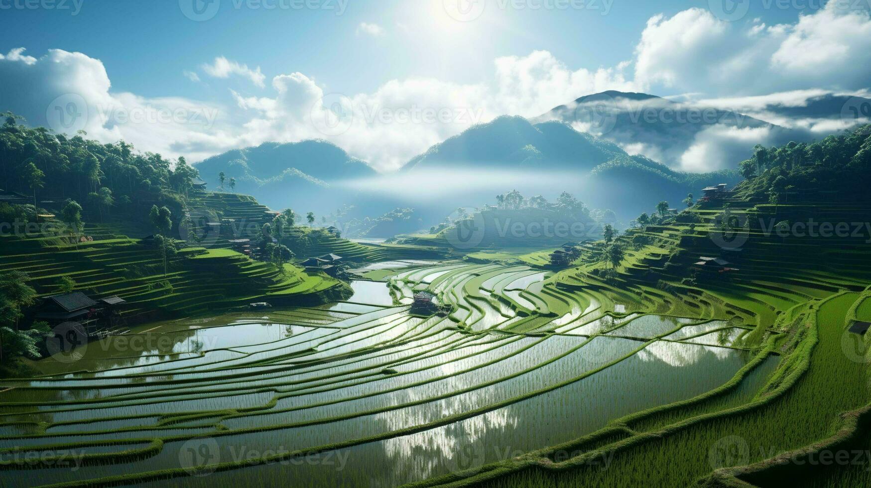 Gorgeous wide angle view of terraced rice fields, a natural wonder photo