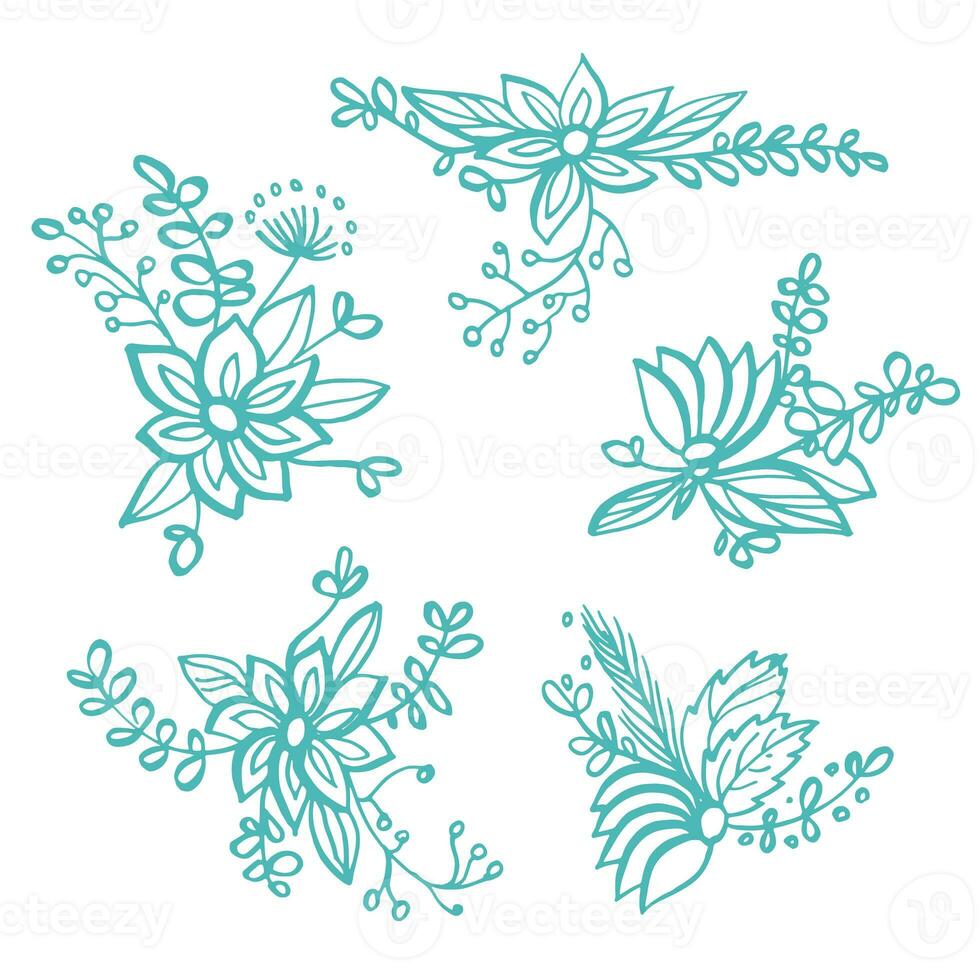 Set of hand drawn linear floral compositions photo