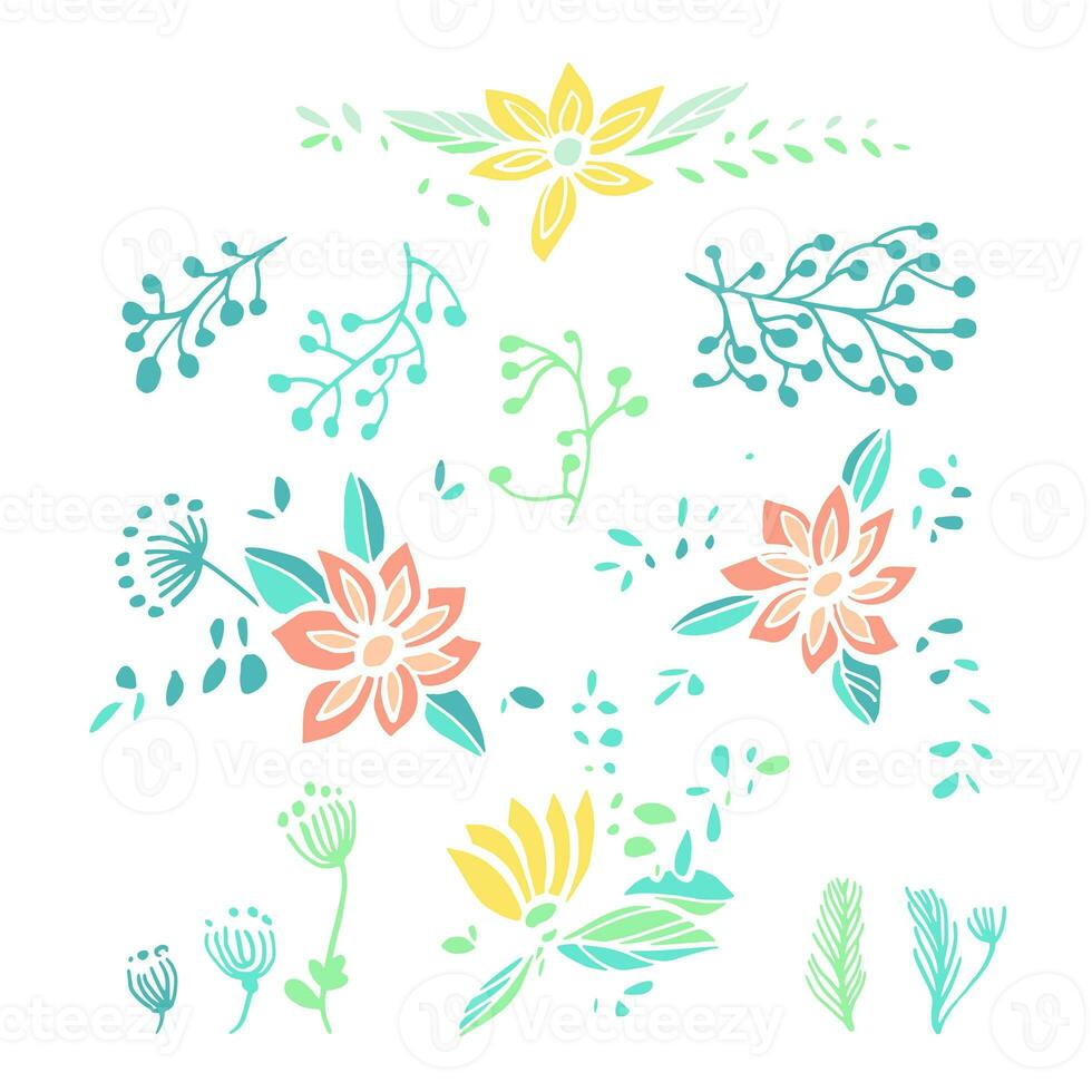 Set of hand drawn floral compositions and elements photo