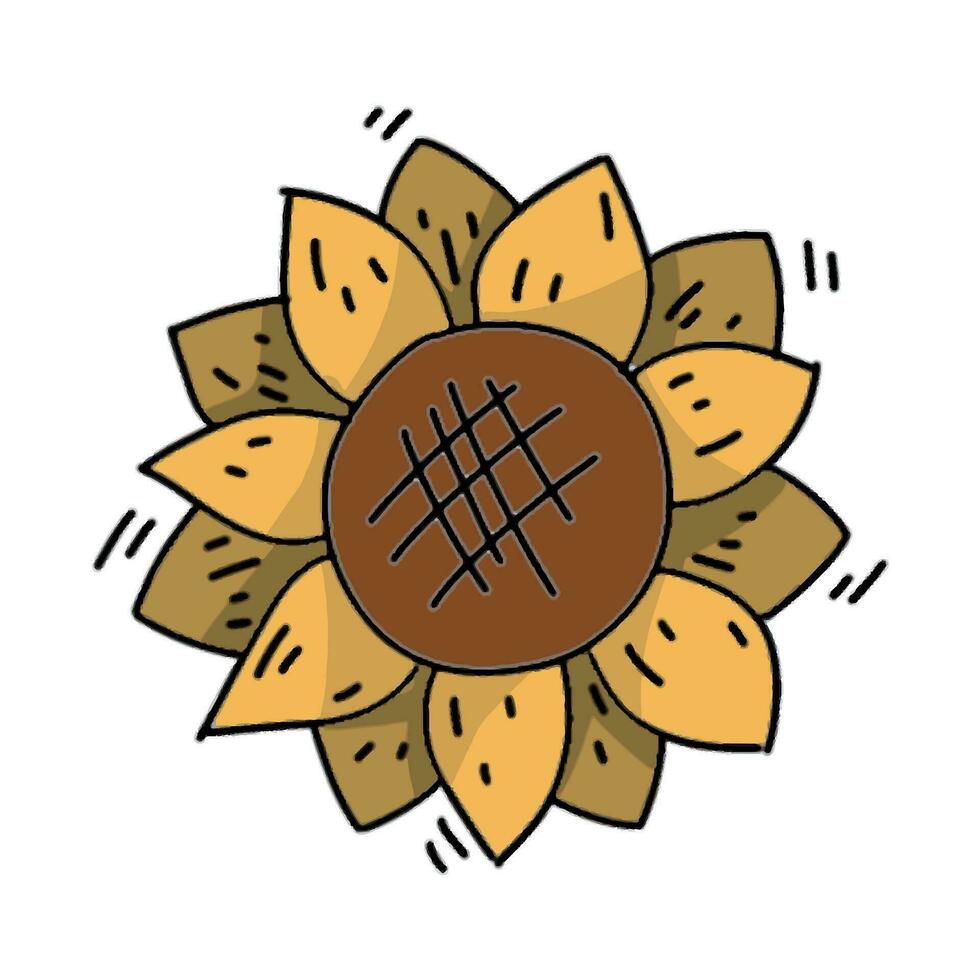 Autumn sunflower. Cute cozy sunflower for summer oof fall designs vector